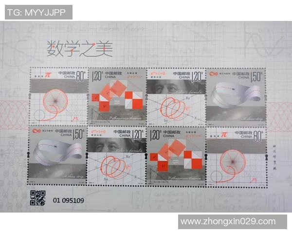 与吴丽畅谈她的排球生涯与心路历程的精彩对话