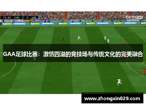 GAA足球比赛：激情四溢的竞技场与传统文化的完美融合